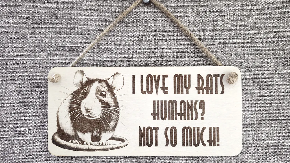 Decorative Rat Plaques & Signs