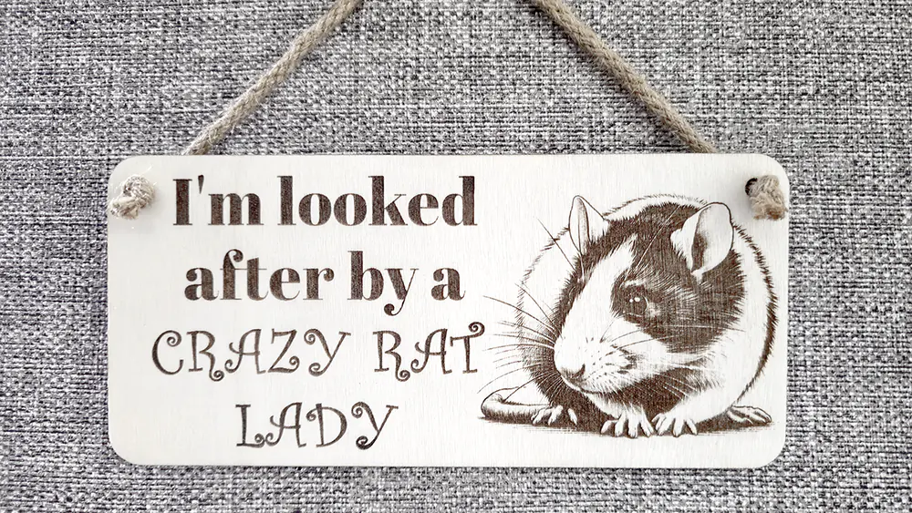 Funny Rat signs and plaques