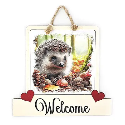 Hedgehog Gifts and Wildlife Products