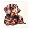 Dachshund Square Ceramic Coaster Gift Ideas for Pet Dog Owners