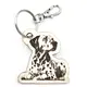 Personalised Dalmatian Novelty Wooden Keyring Shaped with Split Ring and Clip